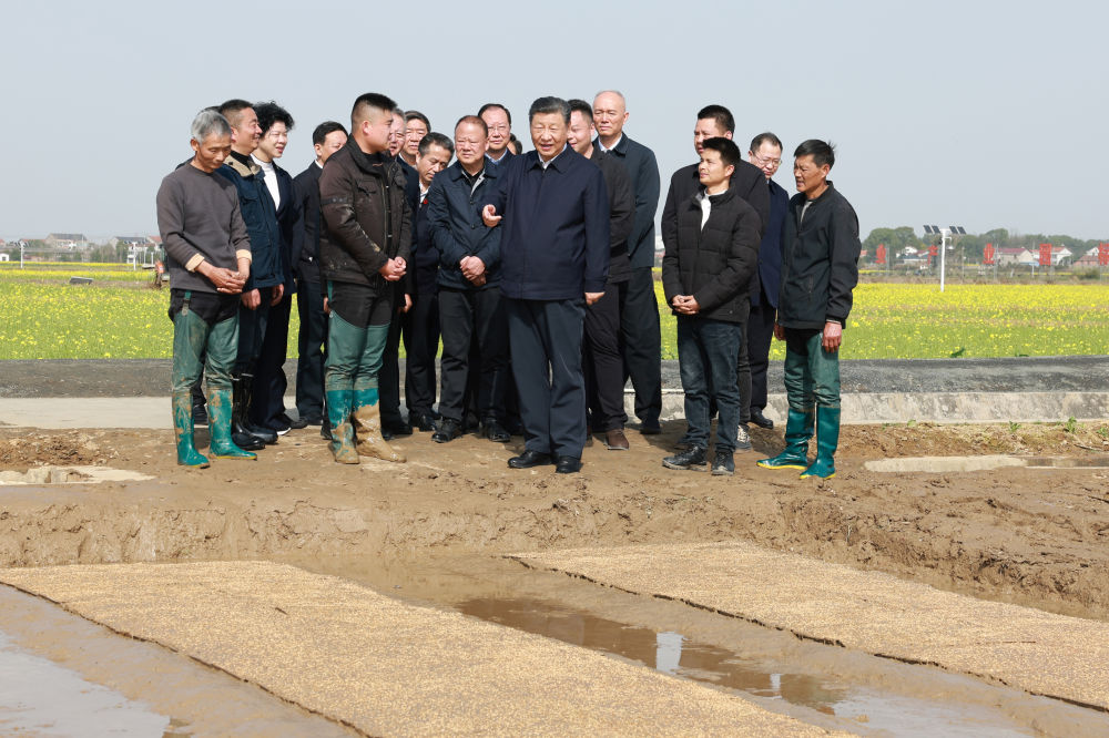 董家灣村民委員會(huì)最新交通新聞,董家灣村民委員會(huì)最新交通新聞