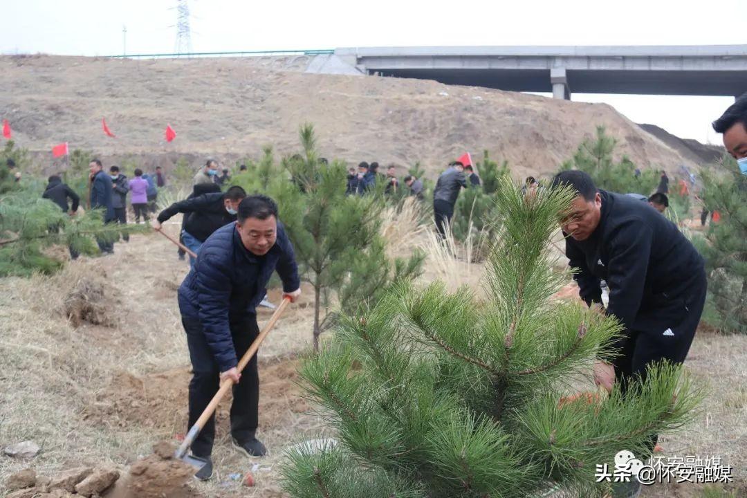 懷安縣住房和城鄉(xiāng)建設(shè)局最新項(xiàng)目,懷安縣住房和城鄉(xiāng)建設(shè)局最新項(xiàng)目動(dòng)態(tài)