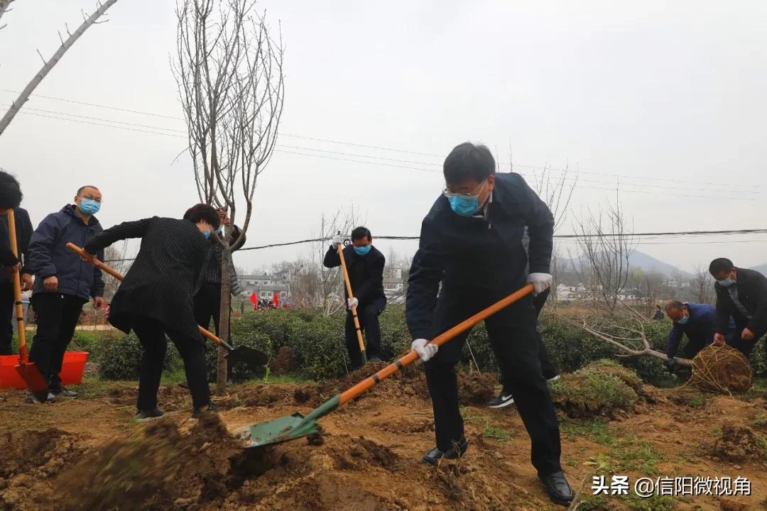 浉河區(qū)特殊教育事業(yè)單位等最新招聘信息,浉河區(qū)特殊教育事業(yè)單位最新招聘信息及解讀