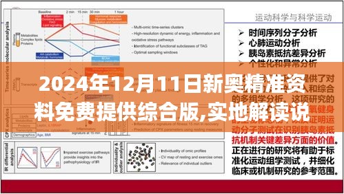 2024新奧精準正版資料,現(xiàn)代化解析定義_機器版67.261