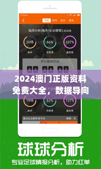 2024正版資料免費(fèi)大全,數(shù)據(jù)詳解說明_運(yùn)動(dòng)版9.604