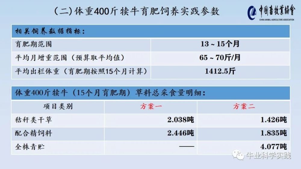 新澳精準資料免費提供221期,實踐數(shù)據(jù)分析評估_生活版17.997