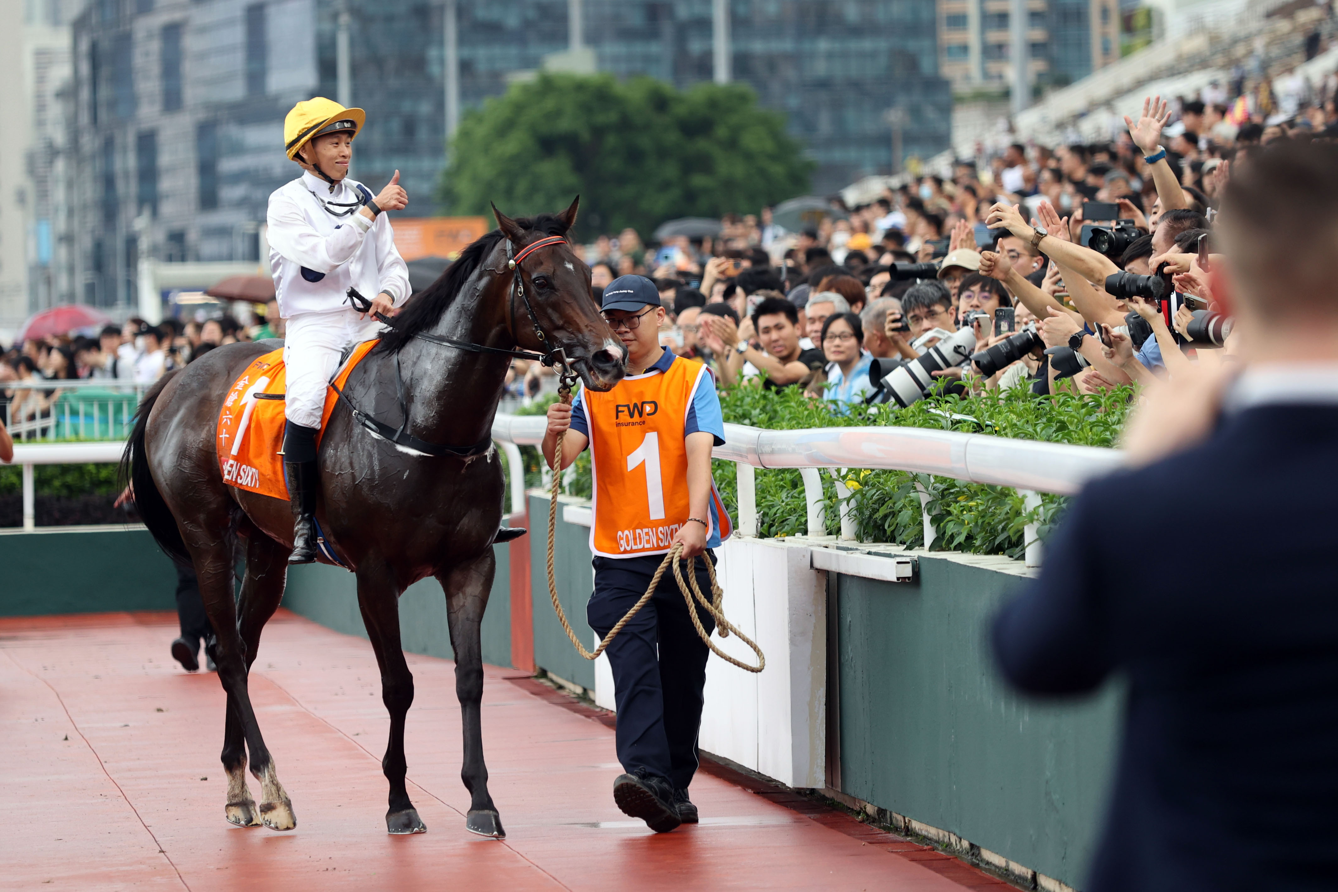 2024香港賽馬全年免費資料,多元化診斷解決_復(fù)興版59.835