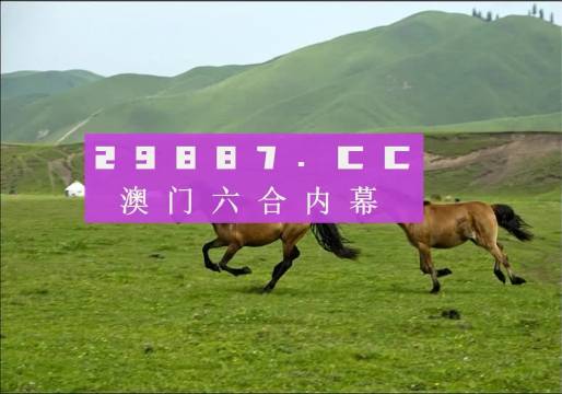 澳門天天彩期期精準(zhǔn)龍門客棧,策略規(guī)劃_演講版22.286