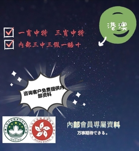 最準(zhǔn)一肖一碼一一香港澳王一王,項目建設(shè)決策資料模板_體驗式版本40.287