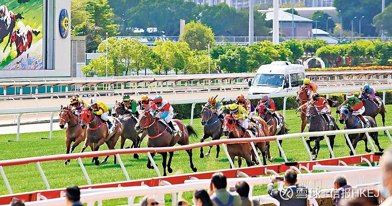 2024香港賽馬全年免費(fèi)資料,社會(huì)責(zé)任法案實(shí)施_全球版10.390