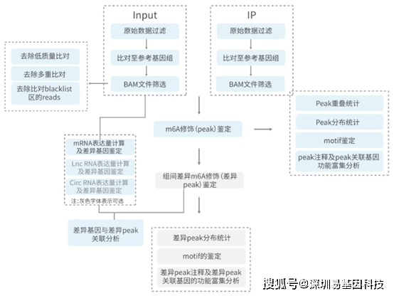 新澳免費(fèi)資料大全最新版本,機(jī)制評(píng)估方案_極致版17.791