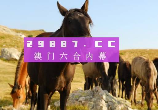 澳門最精準(zhǔn)四不像正版,實(shí)地驗(yàn)證實(shí)施_知識(shí)版94.371