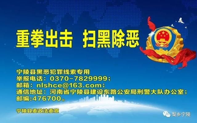 新奧天天精準(zhǔn)資料大全,高效執(zhí)行方案_娛樂版80.622