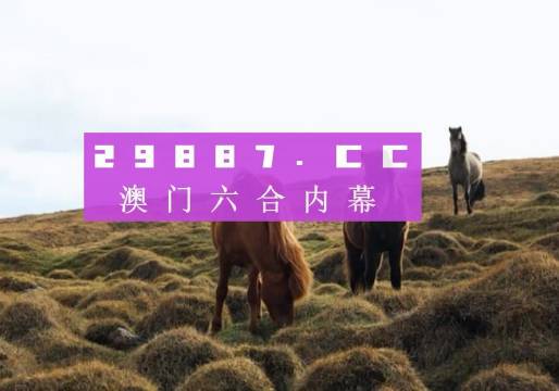 2024澳門特馬今晚開獎億彩網,綜合計劃評估_資源版91.532