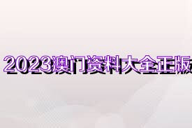 2024新奧精準(zhǔn)正版資料,2024新奧精準(zhǔn)正版資料大全|執(zhí)行釋義解釋落實(shí),揭秘2024新奧精準(zhǔn)正版資料大全，執(zhí)行釋義與落實(shí)策略