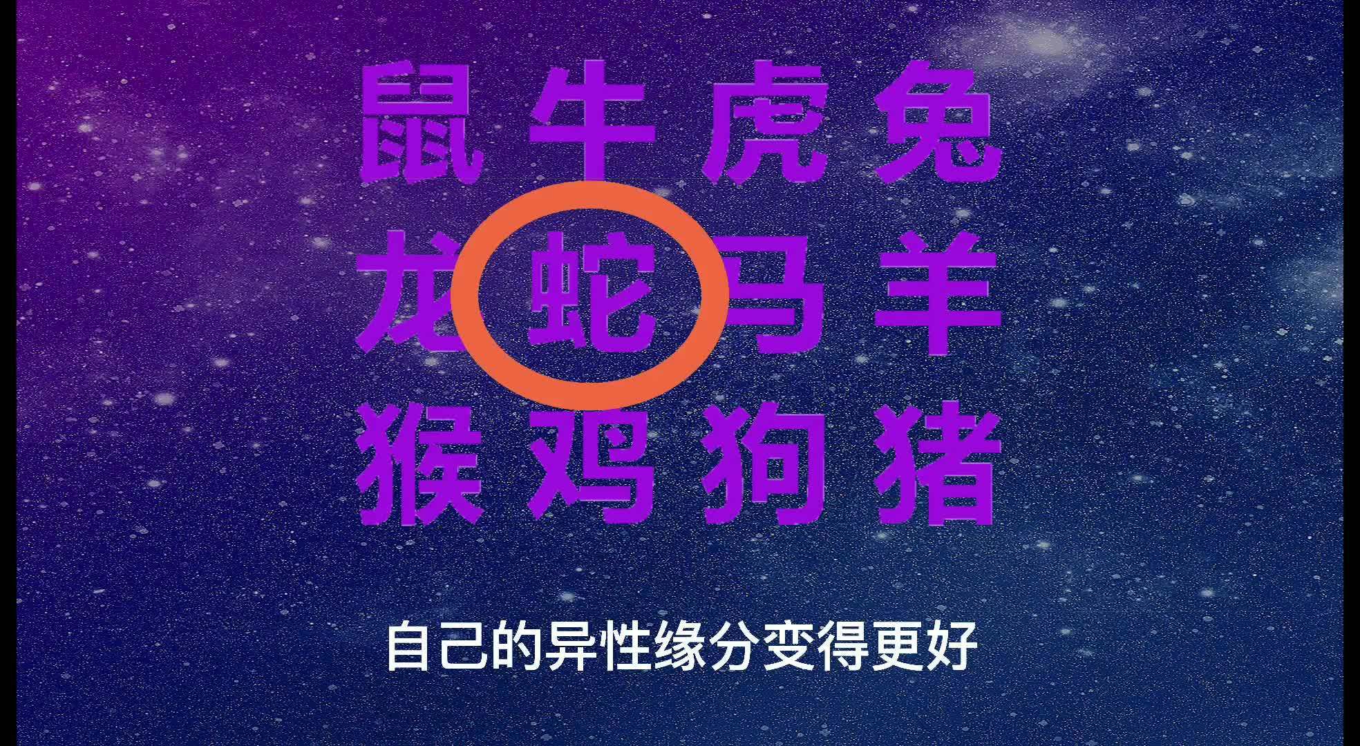 2024新澳門(mén)今天晚上開(kāi)什么生肖|詮釋釋義解釋落實(shí),關(guān)于新澳門(mén)今晚生肖開(kāi)彩的詮釋與解讀