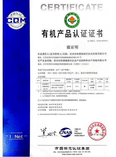 新奧門特免費資料大全管家婆料|進(jìn)入釋義解釋落實,新澳門特免費資料大全與管家婆料，釋義解釋與落實