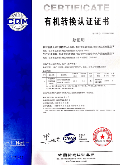 新奧門特免費資料大全火鳳凰|處理釋義解釋落實,新澳門特免費資料大全火鳳凰，處理釋義解釋落實