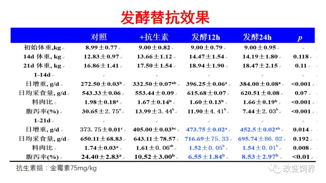 202024新澳精準資料免費,高效計劃實施_兒童版80.805 - 副本