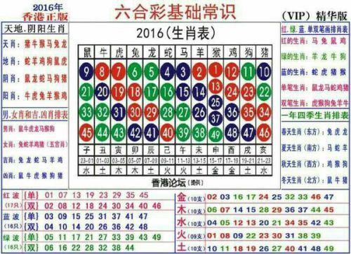 2025十二生肖49碼表|進(jìn)度釋義解釋落實(shí),關(guān)于十二生肖與數(shù)字編碼的交匯，解讀2025年十二生肖與49碼表及其進(jìn)度釋義的實(shí)施落實(shí)