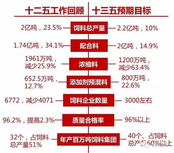 2025年天天彩精準(zhǔn)資料|量入釋義解釋落實(shí),探索未來彩票世界，精準(zhǔn)資料量入釋義與落實(shí)策略至2025年