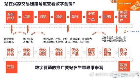 100%一肖一碼100%精準|流程釋義解釋落實,揭秘一肖一碼，精準流程釋義與落實策略