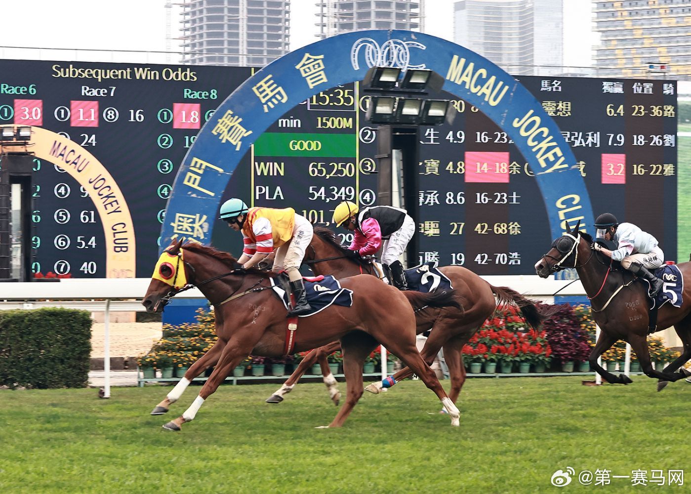 今晚澳門馬出什么特馬|化分釋義解釋落實(shí),今晚澳門馬出什么特馬——化分釋義、解釋與落實(shí)