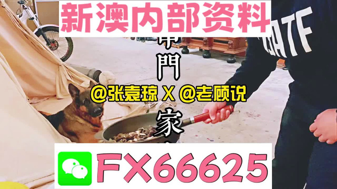 新澳門精準(zhǔn)資料大全管家婆料|效益釋義解釋落實,新澳門精準(zhǔn)資料大全與管家婆料，效益釋義、解釋及落實