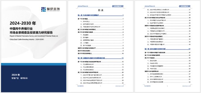 2024精準(zhǔn)免費(fèi)大全,快速解答方案設(shè)計_并行版30.449 - 副本