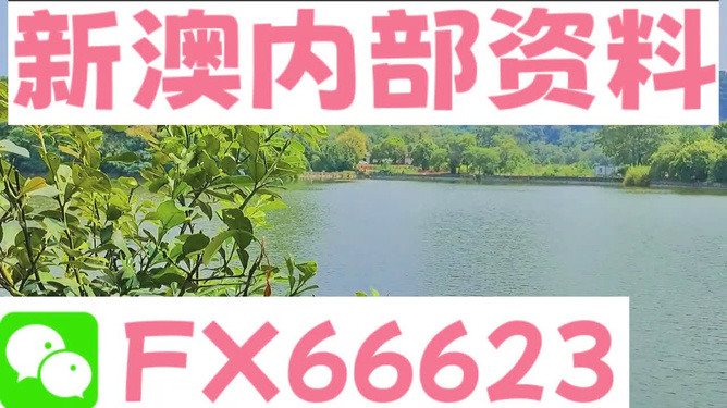 新澳精準(zhǔn)資料大全,高速應(yīng)對(duì)邏輯_環(huán)境版3.913