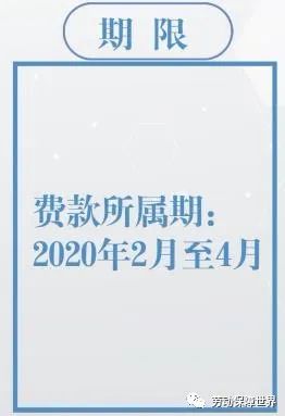 新奧精準(zhǔn)資料免費(fèi)提供510期|明凈釋義解釋落實(shí),新奧精準(zhǔn)資料免費(fèi)提供第510期，明凈釋義與落實(shí)的深度解析